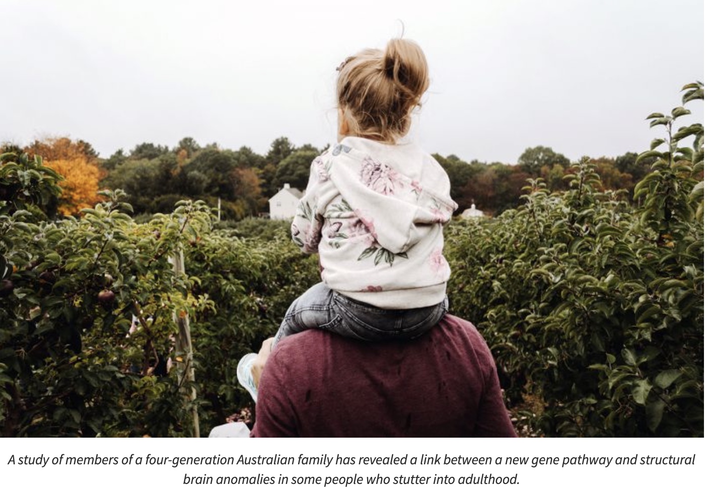 Gene linked to persistent stuttering into adulthood uncovered